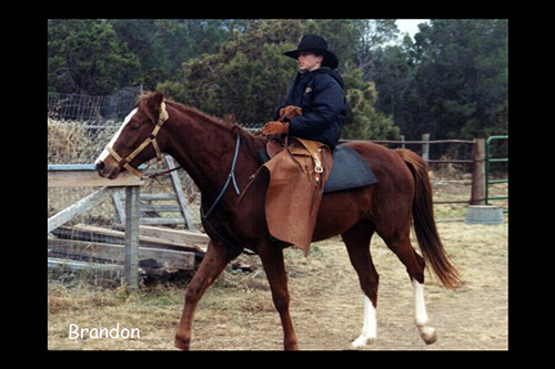 brandon riding a horse
